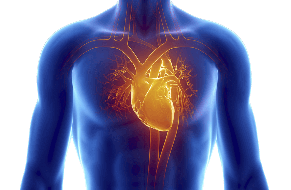 Estimating the Risk of Cardiac Autonomic Neuropathy