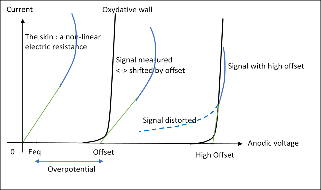 study image 1