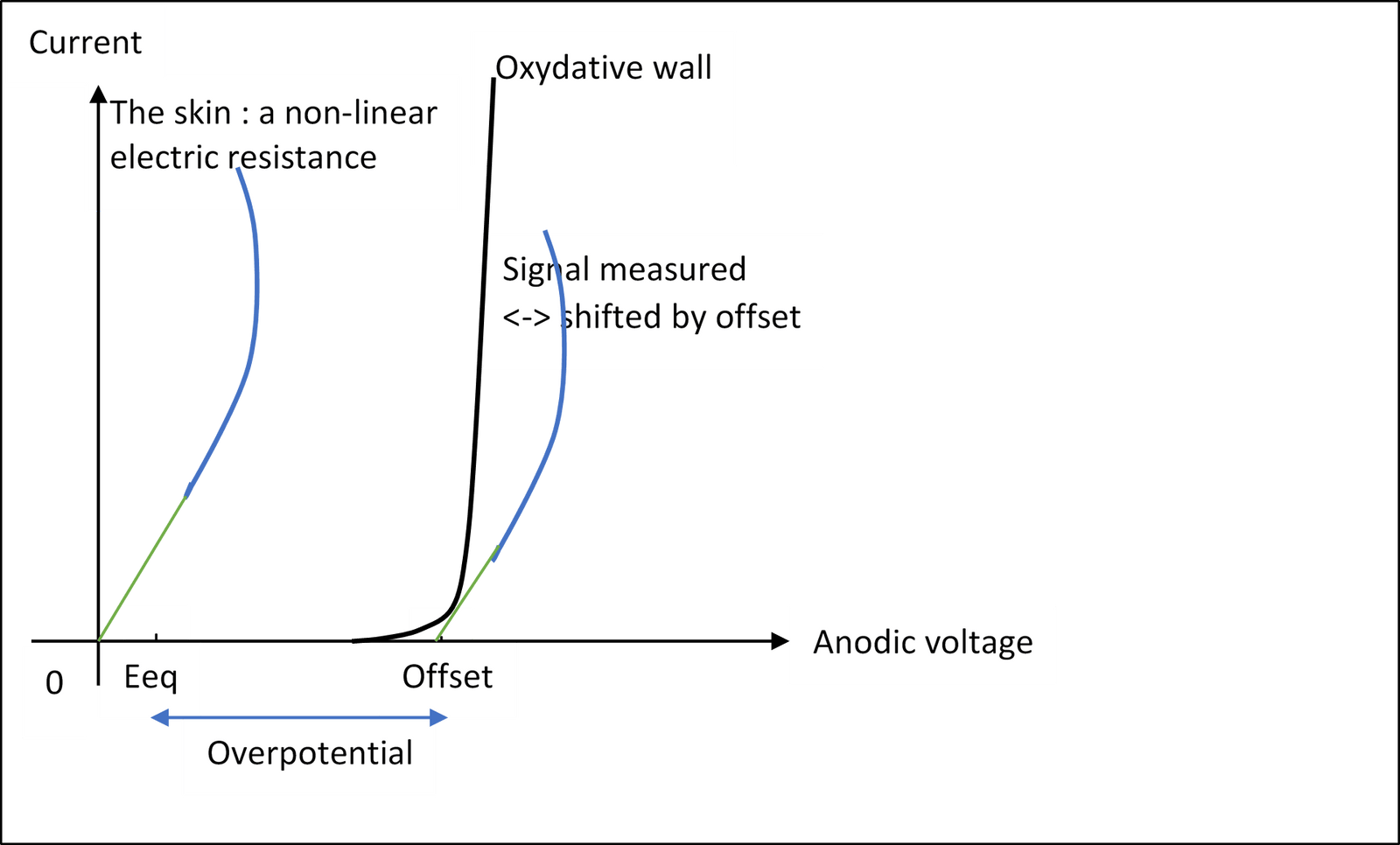 study image 3